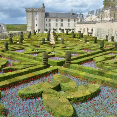 Vue en perspective sur les Jardins de Villandry