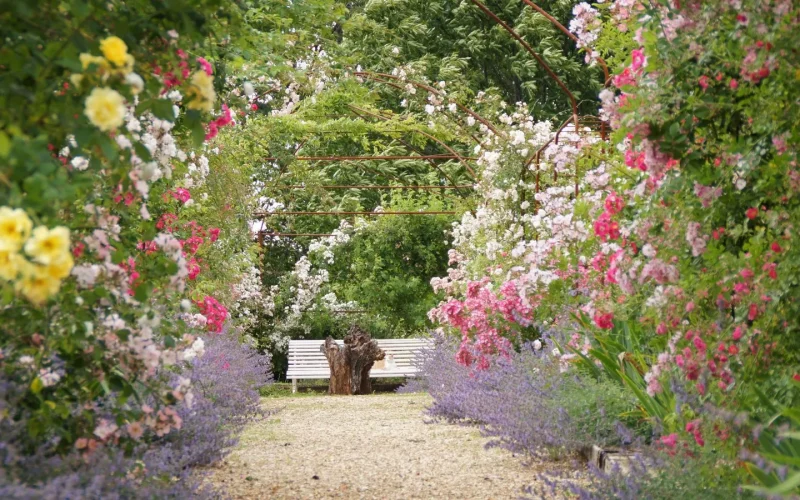 Jardin de Marie