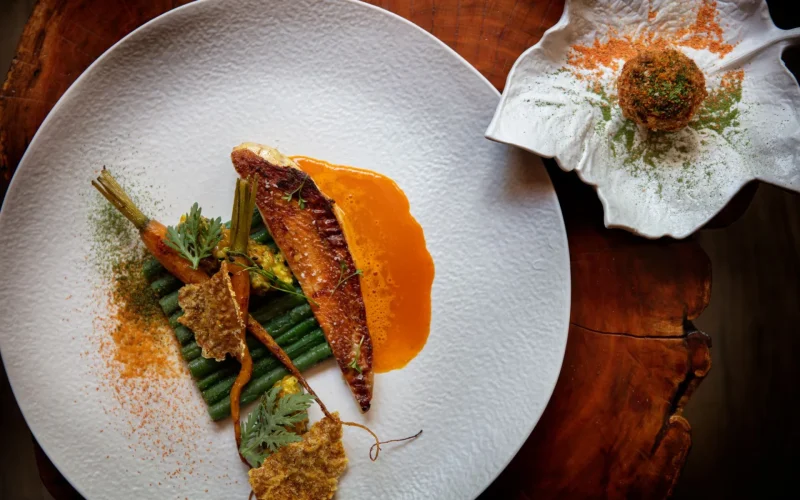 Plat gastronomique