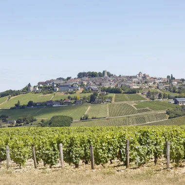 Sieben Erlebnisse rund um den Wein im Loiretal 