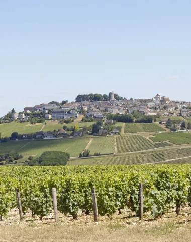 Sieben Erlebnisse rund um den Wein im Loiretal 